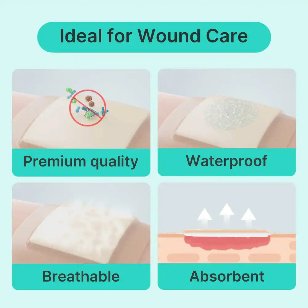 Coreus Dressing Choosing the Right Dressing for Pressure Ulcers – Dimora Medical